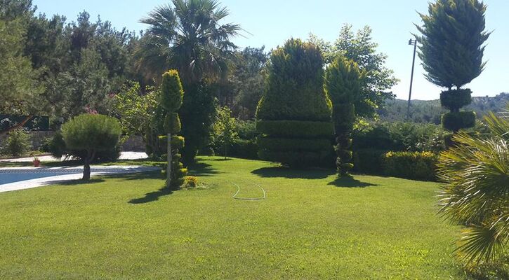 Pine Club Boutique Hotel & Spa