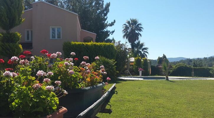 Pine Club Boutique Hotel & Spa