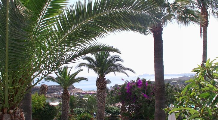 Deniz Kızı Royal Hotel