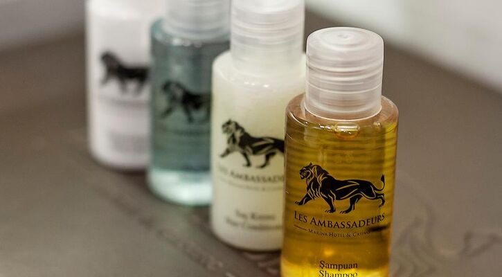 Les Ambassadeurs Hotel