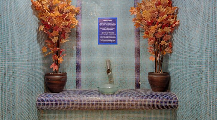 Grand Özgül Termal Tatil Köyü