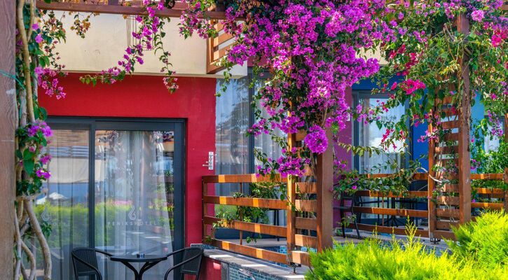 Feniks Hotel