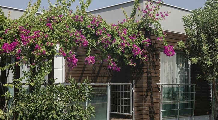 Green Garden Resort & Spa