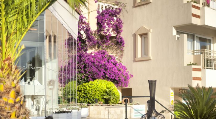 Hotel Carina