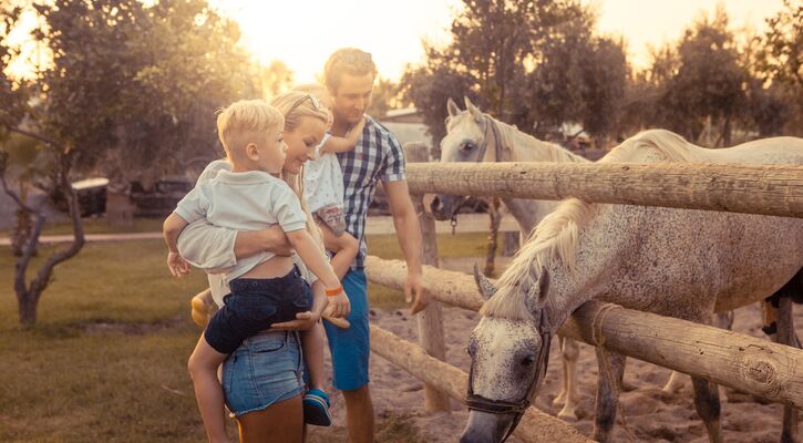 Club Hotel Turan Prince World