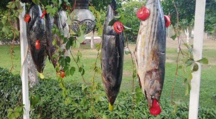 Monna Roza Garden Resort Hotel