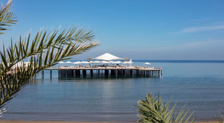 Elexus Hotel Resort