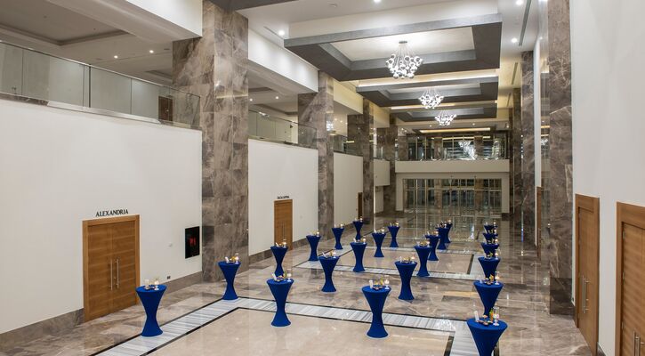 Elexus Hotel Resort