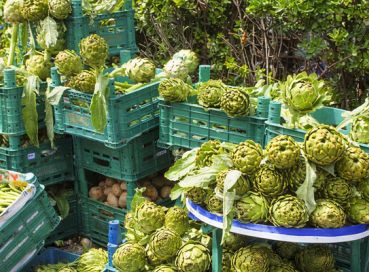 Urala Enginar & Alaçatı Ot Festivali