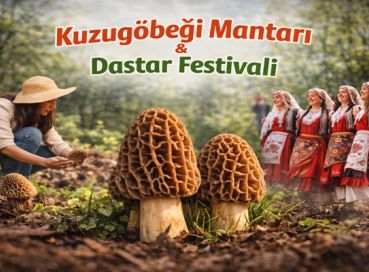 Fethiye Yeşil Üzümlü Kuzugöbeği Mantarı & Dastar Festivali