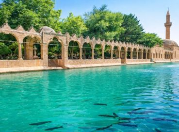 Butik GAP  Turu ( Gaziantep / Şanlıurfa / Adana )