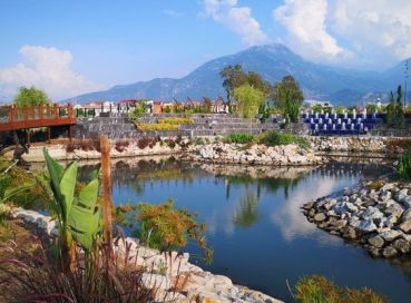 Fethiye Yeşil Üzümlü Kuzugöbeği Mantarı & Dastar Festivali