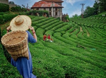 3 Gece Konaklamalı Batumlu Karadeniz Turu