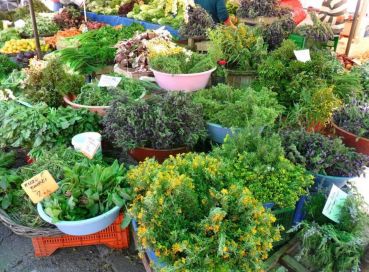 Alaçatı Ot Festivali