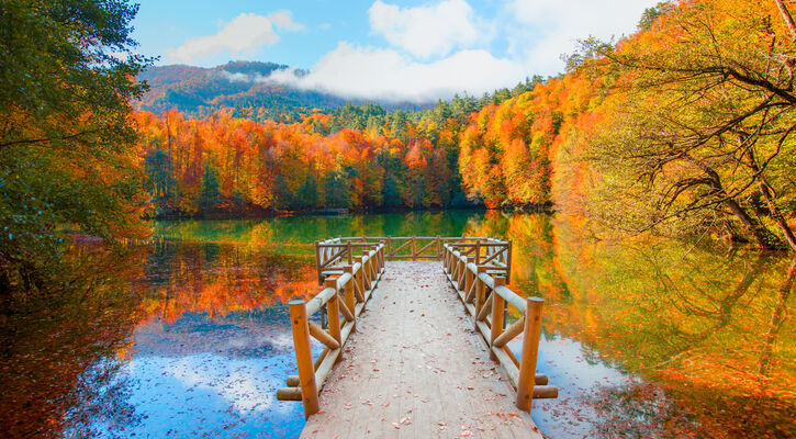 1 Gece Konaklamalı Batı Karadeniz Turu