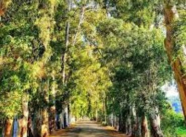 Konaklamalı Datça-Marmaris-Akyaka-Fethiye Turu