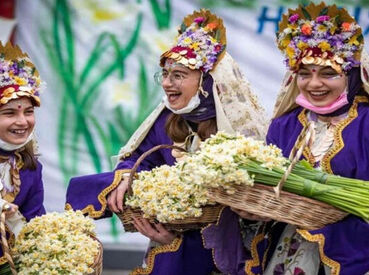 Nergis Çiçeği Festivali