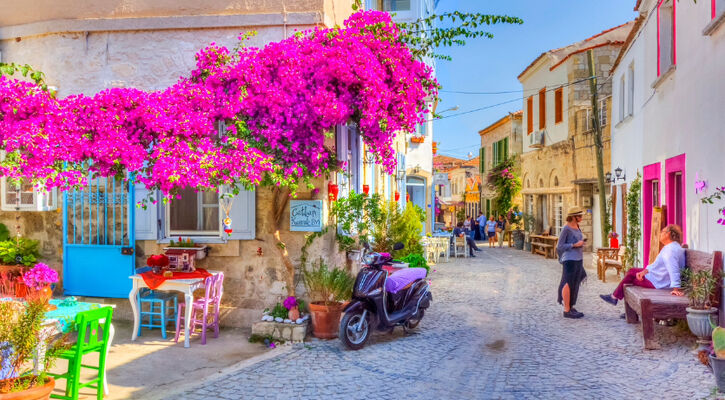 Günübirlik Alaçatı/ Çeşme/ Efes/ Şirince Turu 