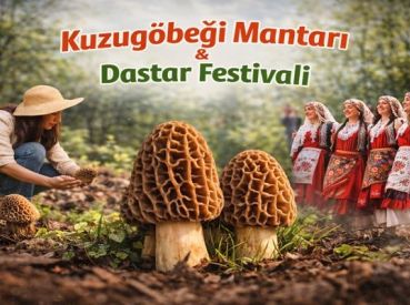 Fethiye Yeşil Üzümlü Kuzugöbeği Mantarı & Dastar Festivali