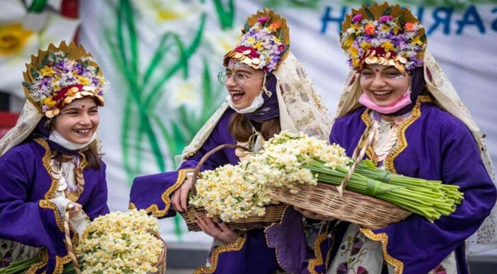 Nergis Çiçeği Festivali