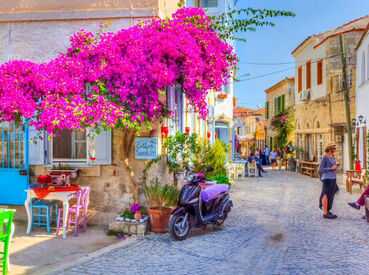 Günübirlik Alaçatı/ Çeşme/ Efes/ Şirince Turu 